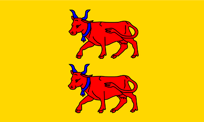 drapeau du B&eacute;arn