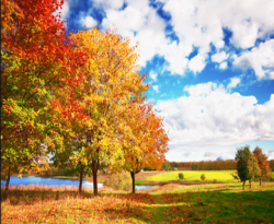 22 sep -> 20 dec
paysage  